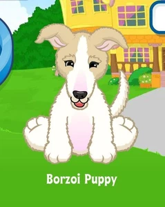 Webkinz Classic Borzoi Puppy Virtual Adoption Code Only Messaged - Picture 1 of 1