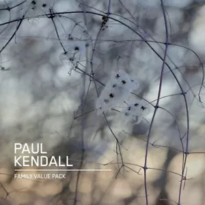 Paul Kendall CD Family value pack ant zen Ambient, Experimental idm - Picture 1 of 1