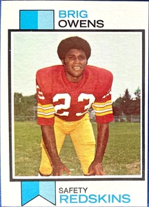 1973 Topps BRIG OWENS #442, Washington Redskins, NM-MT, Nice Border! - Picture 1 of 3