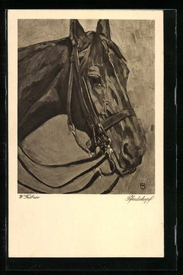 Reitpferd mit Geschirr, Portrait, Ansichtskarte  - Bild 1 von 2