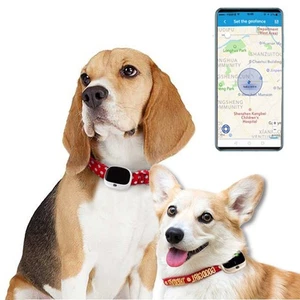 RF-V43 IP67 étanche GPS + LBS + WiFi Pet Locator Pet Collar Tracking Device (Bl - Imagen 1 de 7