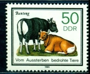 1985 Endangered animal,Banteng,tembadau,bovine,wild cattle,Germany DDR,M2955,MNH - Picture 1 of 1