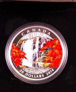 Moneda de plata fina 2014 $20,00 otoño caídas - Casa de la Moneda Real Canadiense - Imagen 1 de 3
