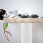  Scratching Posts for Indoor Cats Cute Scratcher Climbing Frame
