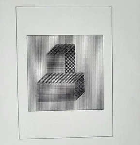 Serigrafía/placa serigrafía original Sol LeWitt XVII de "Ficciones" 1984 con doc - Imagen 1 de 5