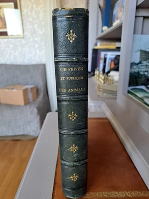 LIVRE ANCIEN 1867, VIE PRIVÉE ET PUBLIQUE DES ANIMAUX, GRANDVILLE - Photo 1/4