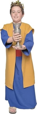 NUEVO Disfraz Underwraps Wiseman II 3 piezas Niños Niño Mediano 6 7 8 púrpura rojo dorado Foto 1 de 2