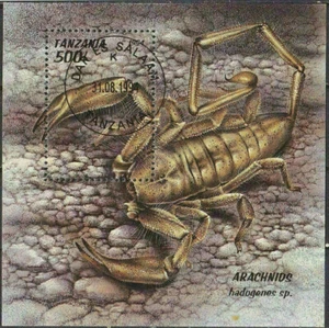 schöner Block mit Scorpion escorpião escorpión скорпион 11 - Bild 1 von 1