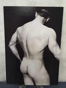3,5x5 Zoll Reprint Foto - Rückansicht des muskulären Körpermodells - Gay Interest - Bild 1 von 4