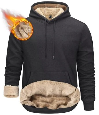 Sudaderas forradas Sherpa para hombre invierno grueso polar pulóver atlético pesado sudadera con capucha Foto 1 de 4