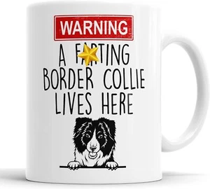 Border Collie Mug Warning A Lives Here Mum Dad Mug Dog Cup Friend Funny Gift - Picture 1 of 2