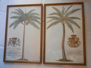 A Lei/Sua Reale Highnefs/Altezza con Sigilli Stampe incorniciate 12 1/2" x 19 1/2" - Foto 1 di 11