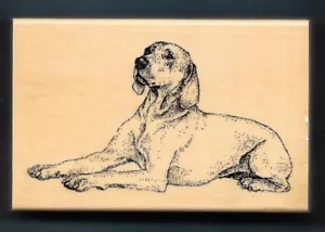 WEIMARANER DOG BREED House Pet Puppy STAMP GALLERY New 24047 Wood Mount Rubber - Picture 1 of 2