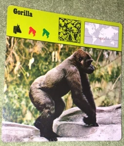 Vintage 1975 Animal Card - Gorilla - Printed In Japan - Picture 1 of 4