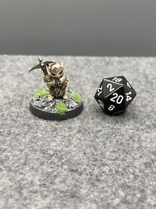 Painted Reaper Gnome Halfling Fighter DND RPG Dungeons And Dragons Fantasy