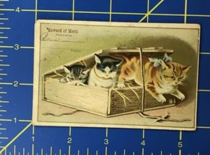 Tarjeta de intercambio de carne P2 de 1800 lindos gatitos en caja para maestros recompensa - Imagen 1 de 2