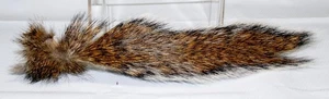 Ground Squirrel Tail for Fly Tying Jig Making White/DK Brown #551 - Picture 1 of 5