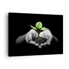 Wandbilder 70x50cm Leinwandbild Natur Pflanze Wissenschaft Schutz Bilder