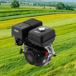 Four-stroke Road Smoother Hanging Micro-tiller Zongshen Engine Petrol Engine - Picture 1 of 26