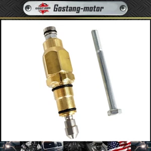 For RMW RMV SRMW Series Pumps Repls 202328GS 315747GS AR42118 Unloader Valve - Picture 1 of 8