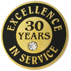 PinMart's Gold Plated Excellence in Service 30 Year Award Lapel Pin - Picture 1 of 1