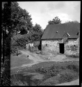 Paysage rural arbre chemin maisons ferme poule ancien négatif photo an. 1950 - Picture 1 of 1