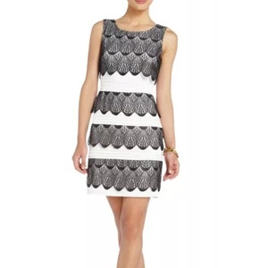 NWT BCBG MAXAZRIA Lorenna Black & White Lace Tulip Dress Sleeveless Size 4 - Picture 1 of 8