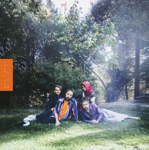 Big Thief - U.F.O.F. (4AD) CD Album - Picture 1 of 1