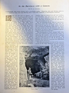 1898 Explorando y fotografiando cuevas de murciélagos ilustradas - Imagen 1 de 4