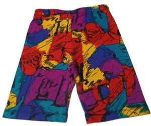 Vtg Workout Shorts Women's Sz L 100% Nylon Color Block DanSkin Pro Compression - Picture 1 of 7