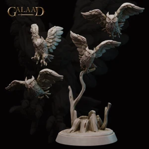 Owl Companions - Galaad Miniatures - Fantasy Dungeons & Dragons - Picture 1 of 1
