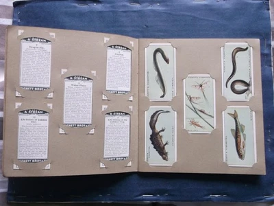 Hignett Bros 2 x Sets in Wills Album Life in Pond & Stream/ Sea - Shore  V. Good - Image 1 of 4