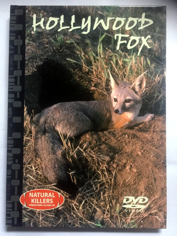 Natural Killers - Predators Close-Up: HOLLYWOOD FOX DVD + BOOK BRAND NEW R0 - Image 1 of 1