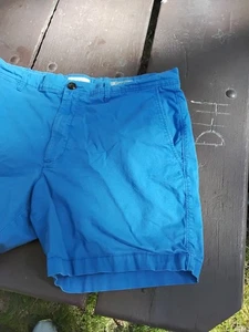 men's sky blue Goodfellow & Co classic Linden shorts Sz 36", 7" inseam - Picture 1 of 6