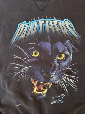 Carolina Panthers Sudadera Para Hombres XL Salem Ropa Deportiva Negra Suelta Y2K Años 90 Foto 1 de 4