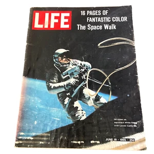 LIFE MAGAZINE JUNE 18 1965 The Space Walk 16 PAGES OF  COLOR Michelangelo - Bild 1 von 6