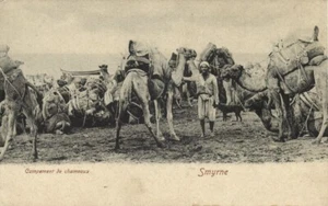 Türkei, SMYRNA SMYRNE IZMIR, Kamellager (1900er Jahre) Postkarte - Bild 1 von 2