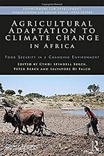 Landwirtschaftliche Anpassung an den Klimawandel in Afrika: Ernährungssicherheit im Wandel
