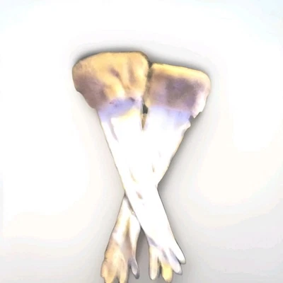 24"Long White Kid Leather Gloves topped Blonde Mink Cuff Sx7.5.Wedding Brilliant - Image 1 of 4