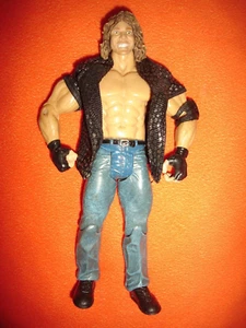 BRIAN PILLMAN FIGURE CUSTOM CLASSIC SUPERSTARS WWE ATTITUDE ERA WRESTLING WCW - Picture 1 of 3