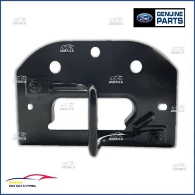 Golpeador de capó para Ford Crown Victoria Lincoln Town Car 1998-2011 6W1Z16K689A OEM Foto 1 de 4