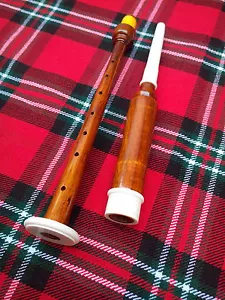 Schottischer Dudelsack Holz Praxis Sänger mit 2 Schilf - PALISANDER - Bild 1 von 1