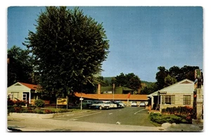 Vintage Rhododendron Court Motel Asheville NC Color Photo Postcard - Picture 1 of 2