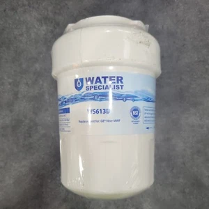 Water Specialist WS613B Water Filter Fits GE MWF - Picture 1 of 1