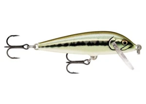 Rapala Cuenta Regresiva 7cm AMN - Artistic Minnow (CD7AMN) * Stocks NUEVOS 2025 * 123152 - Imagen 1 de 1