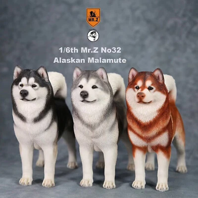 Mr.Z 1: 6 比例阿拉斯加雪橇模型狗宠物动物人偶收藏玩具装饰 — 第 1/4 张图片