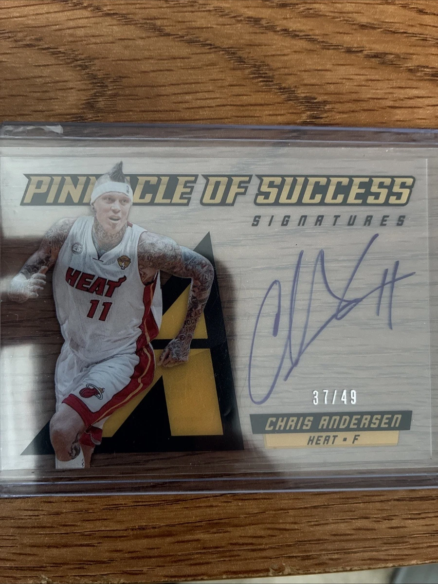 National Basketball Association (NBA) Chris Andersen Basketball
