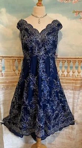Dress 18 Blue Lace Quiz Bardot Fishtail Stretch Hi-Lo Dip Hem Occasion Wedding - Picture 1 of 8