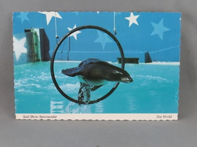 Vintage Postcard - Seal Supershow Sea World Sna Diego - Continental Card Foto 1 de 4