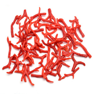 50 CT Natural Raw Italian Red Coral Polish Branch 15-30 mm Sea Coral Rough Stick